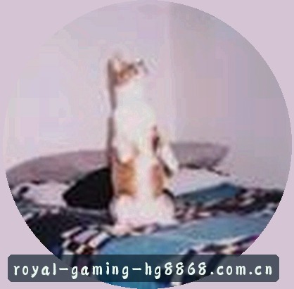 阿杰